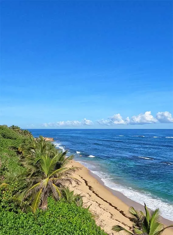 old San Juan beaches from above with palm trees, golden sand, blue water on a sunny day