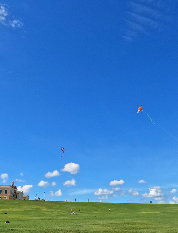 flying kites against a blue sky with green grass below