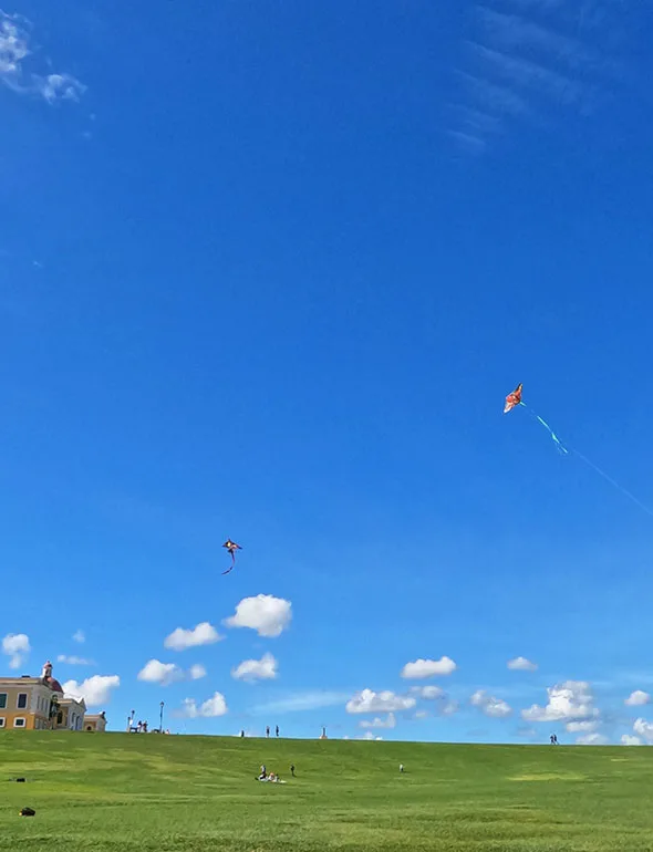 flying kites against a blue sky with green grass below
