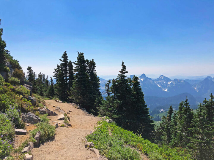 mt rainier hikes trail on cliffside with trees and mountains in distance
