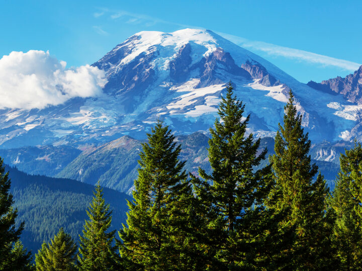 best hikes in mt rainier close up view of mountain with trees in foreground and one cloud lingering