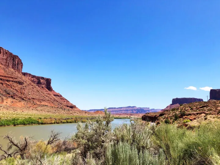 denver to moab road trip photo of river and red rock canyon walls with desert foliage in foreground