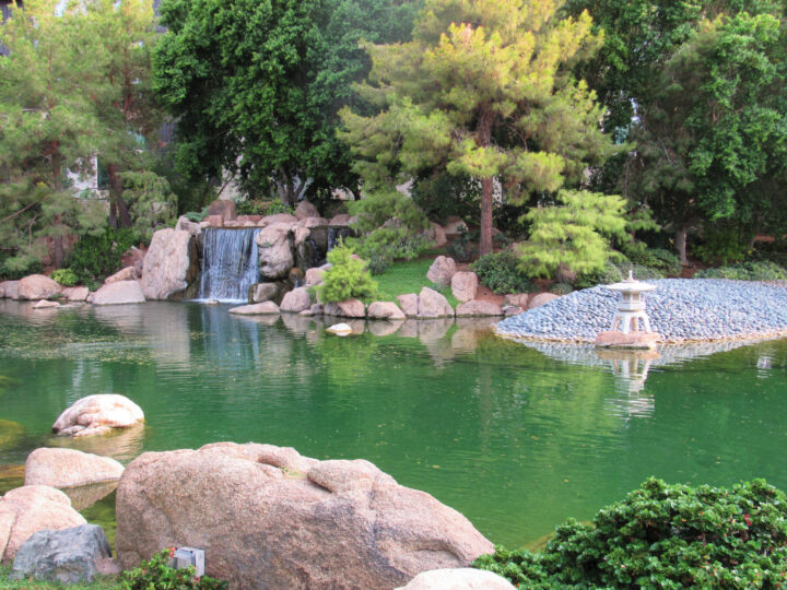beautiful garden with green water, large rocks, waterfall and trees