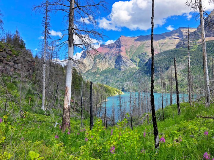 glacier national park itinerary pic of montana mountains teal lake and trees on a sunny day