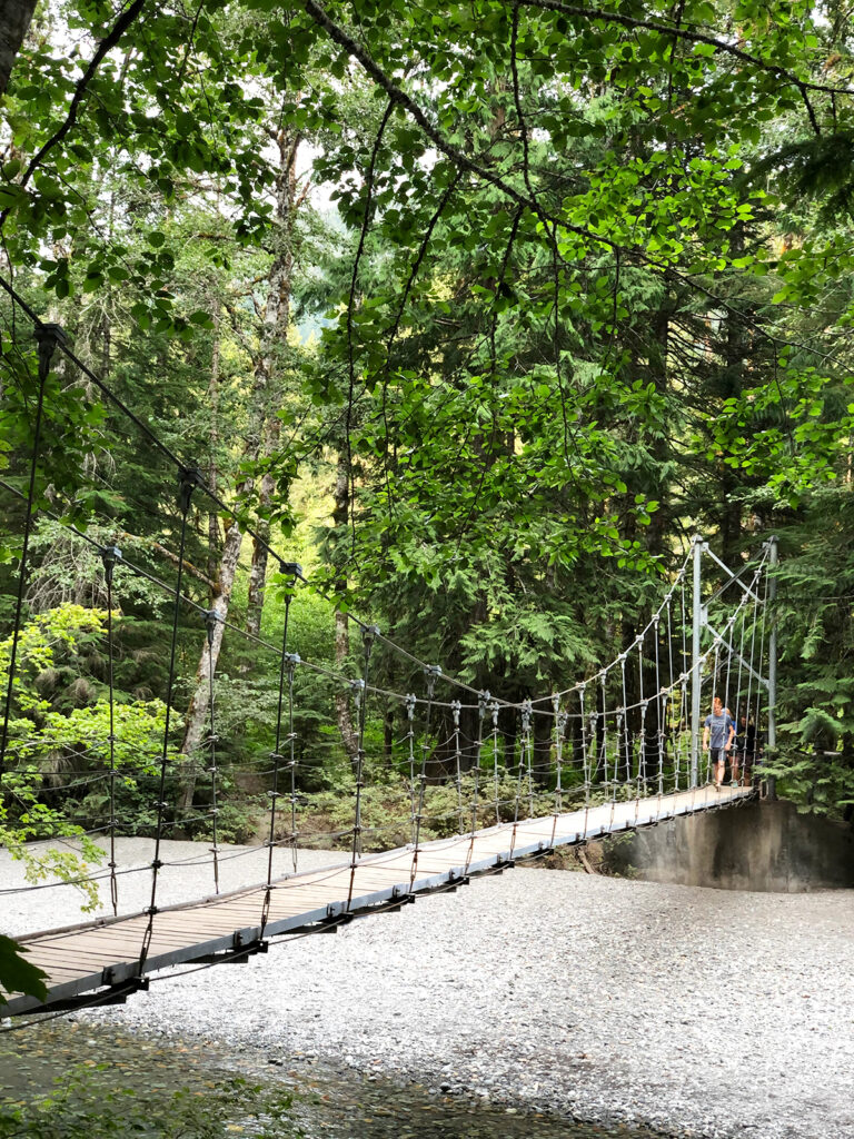 best mt rainier hikes bridge over river in forest