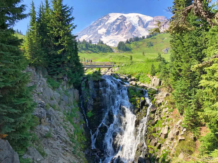 paradise mt rainier picture of waterfall and mountain in background, large trees and people on bridge enjoying the park