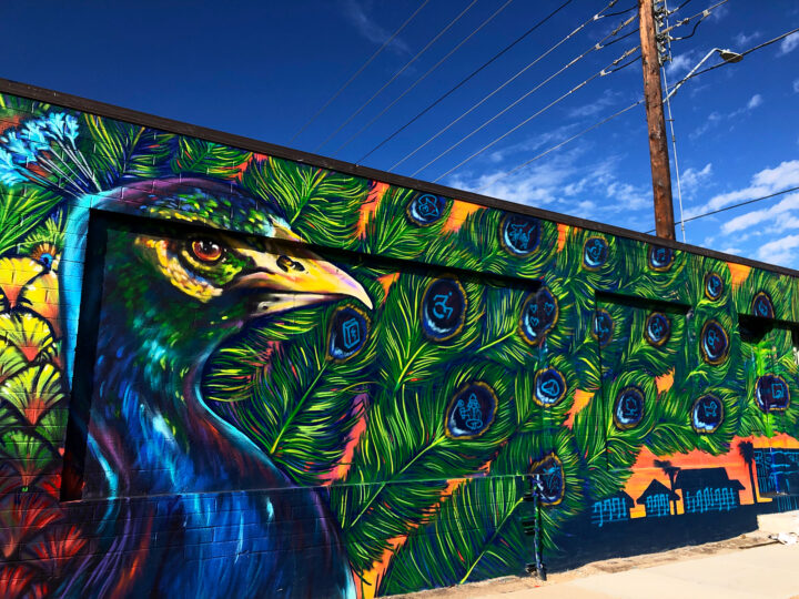 large peacock mural painted on side of building what to see in a day trip to phoenix
