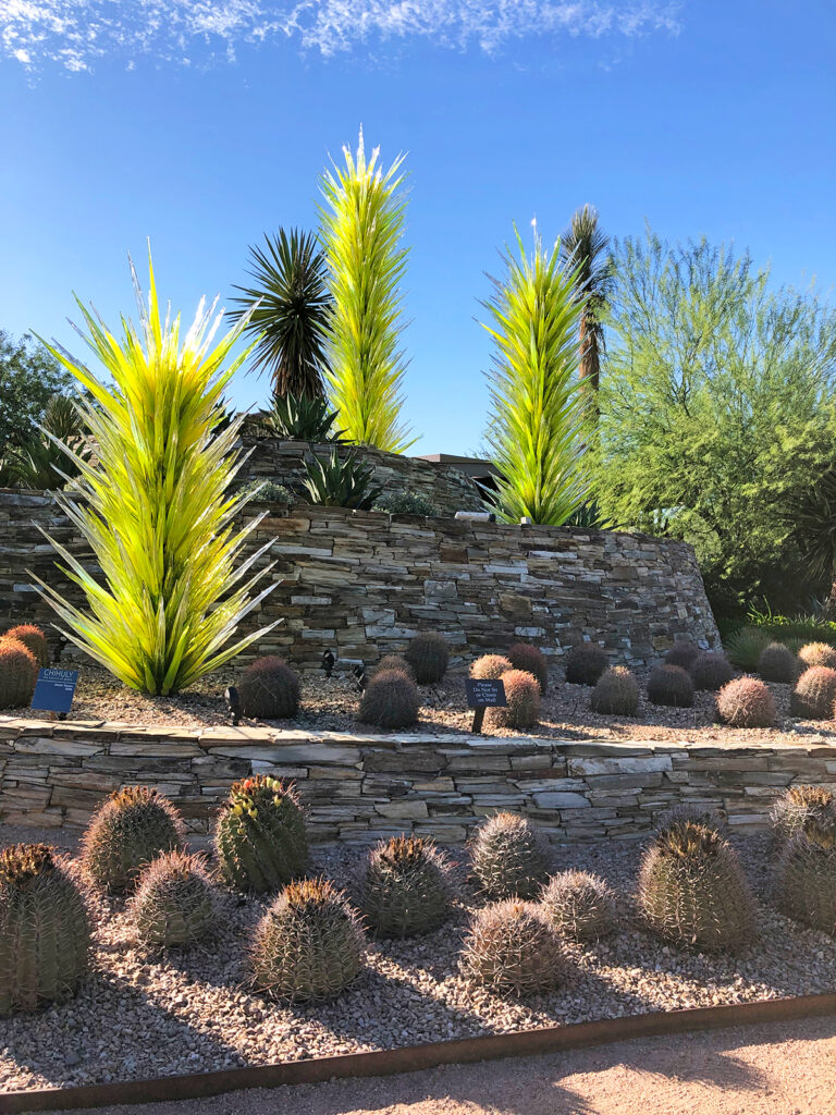 beautiful glass and natural cacti with stone walls outside