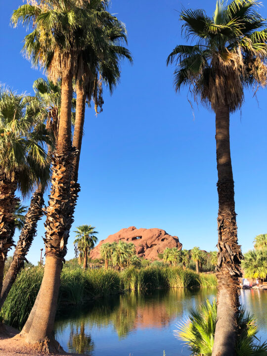 reflective lake in Papago park with palm trees, lake and hole in rock