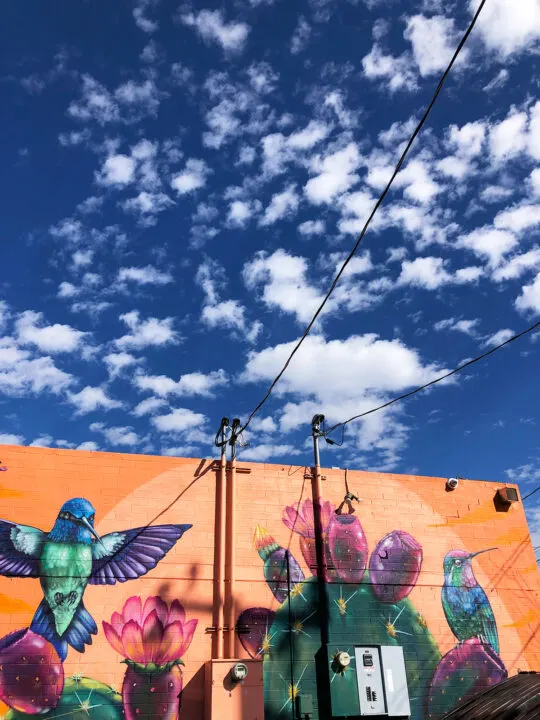 best of phoenix in a day pic of mural with hummingbird an cacti on colorful building