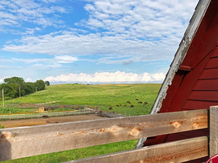 red barn with fence green pasture blue sky