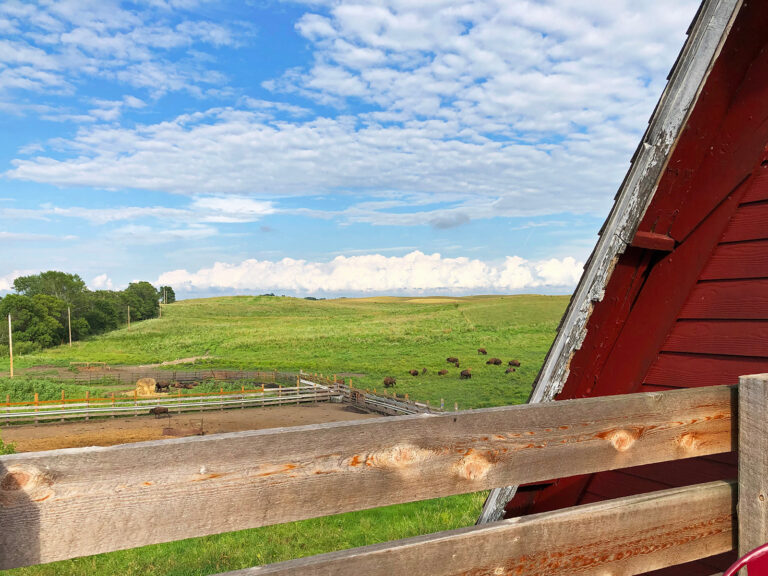 Best Iowa Bed And Breakfast (a Hidden Treasure In The Midwest)