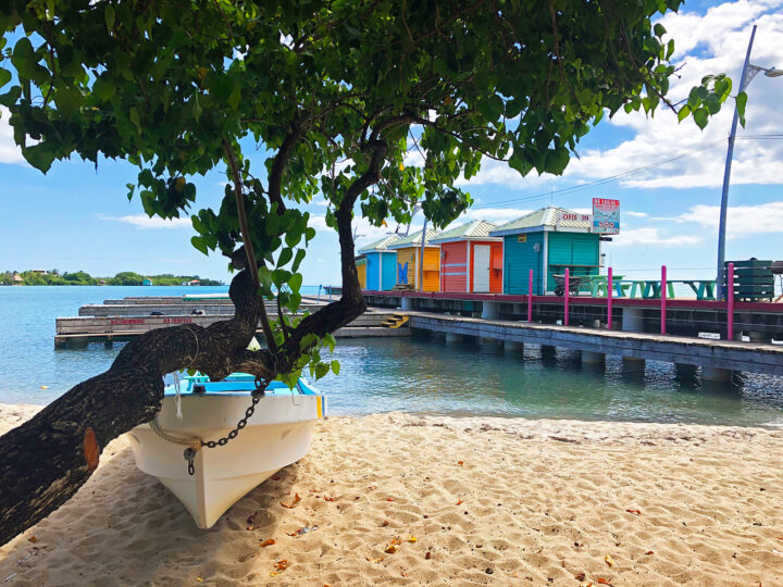 belize on a budget beach with tree and boat colorful buildings
