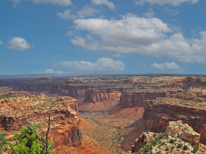 best hikes in Canyonlands national park picture of deep canyon with colorful ridges on partly cloudy day