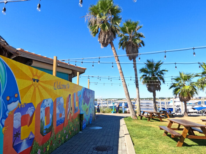 view of cobalt mural palm trees grass and restaurant on the water
