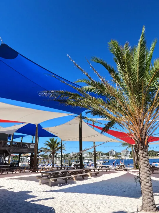 orange beach restaurant on the water picture of palm tree picnic tables white sand