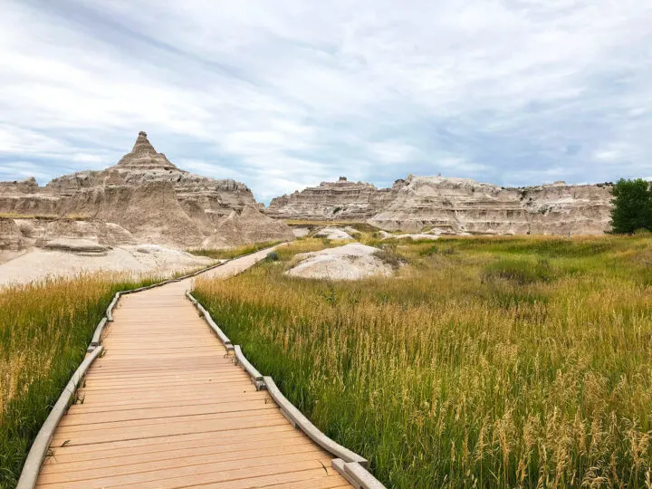 things to do in badlands national park hiking path through tall grasses and multicolored spires in background