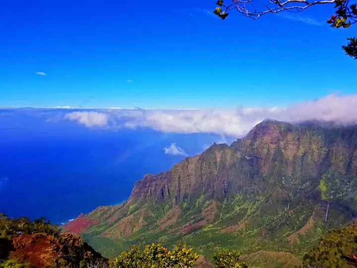 kauai view of the napali coast rugged Ridgeline with colorful fauna and deep blue ocean