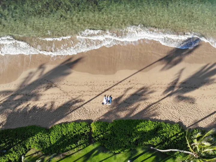 couple on a beach looking down with palm tree shadows and greenery