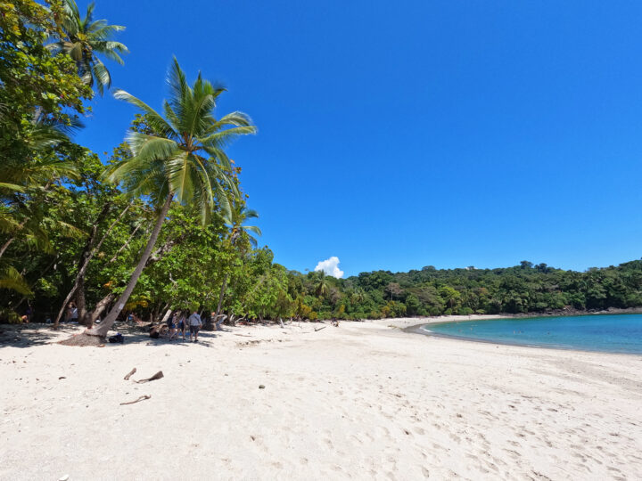 Manuel Antonio beach, white sand palm trees blue water