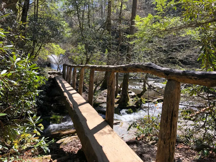 wooden bridge walking over creek with trees and waterfall