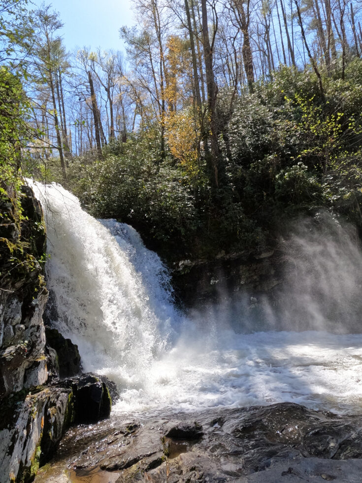 Abrams Falls Trail, Smoky Mountains: Everything You Need to Know