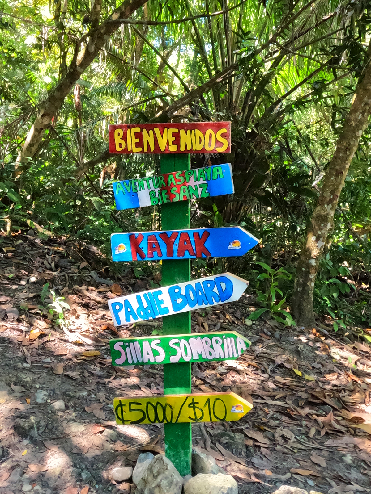 colorful signs in trees including water sports
