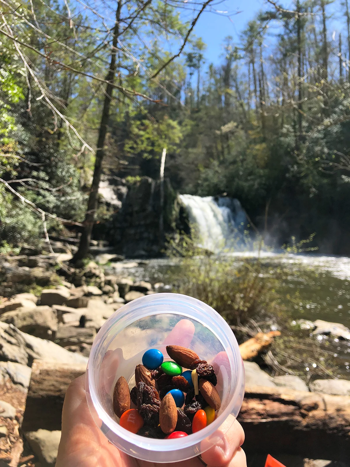 nuts raisins and chocolate in container with waterfall scene in background