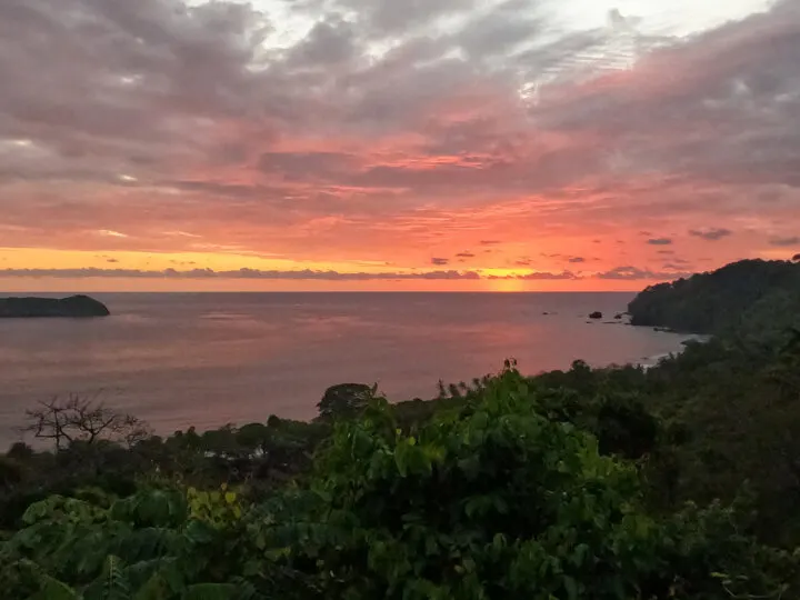 pink sunset with trees pink sky and purple water