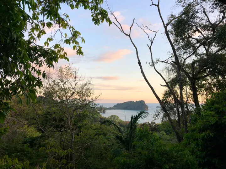 views of Manuel Antonio national park through trees at sunset with light pink sky