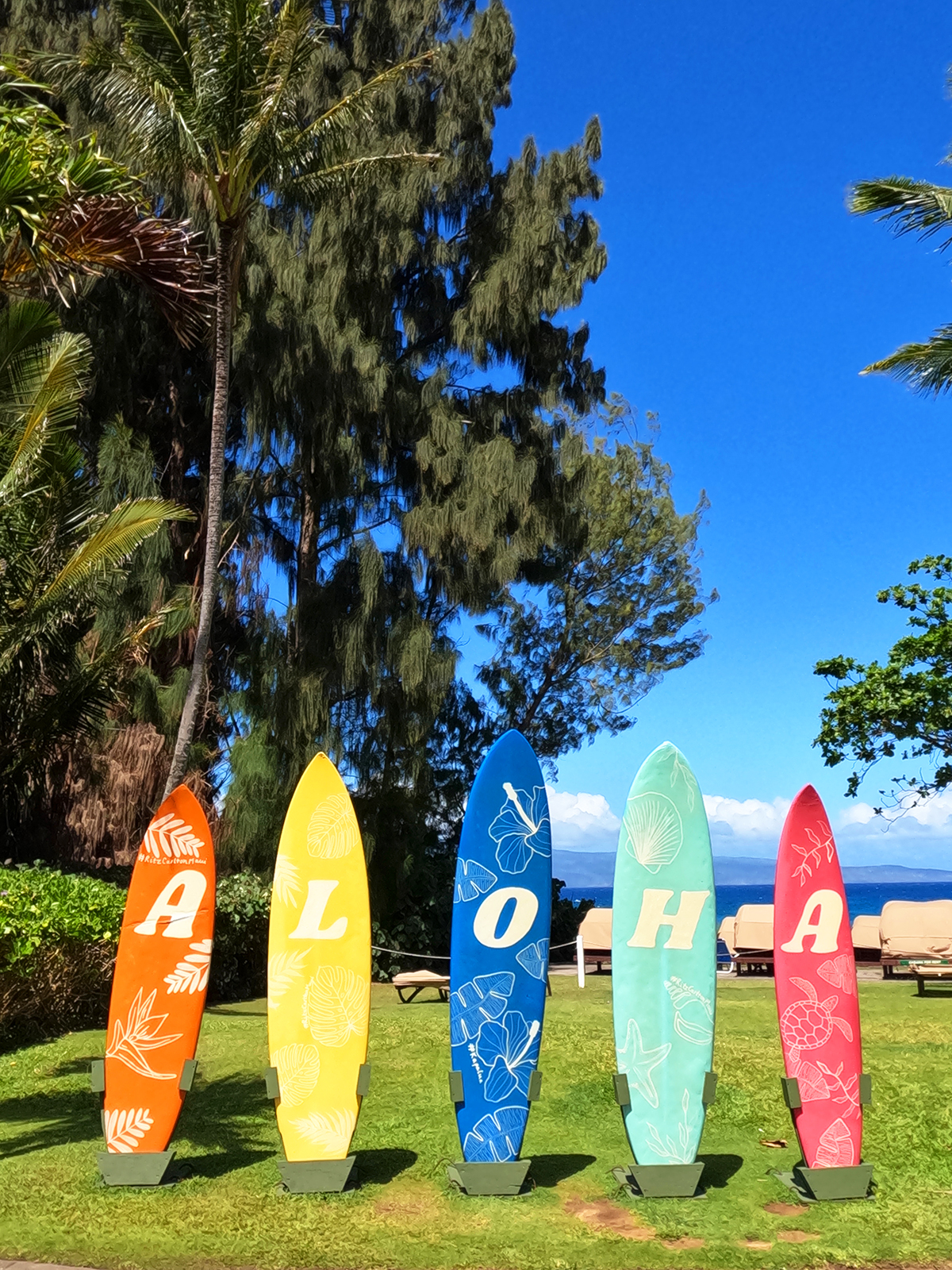 maui with kids colorful surfboards aloha with trees and ocean in background