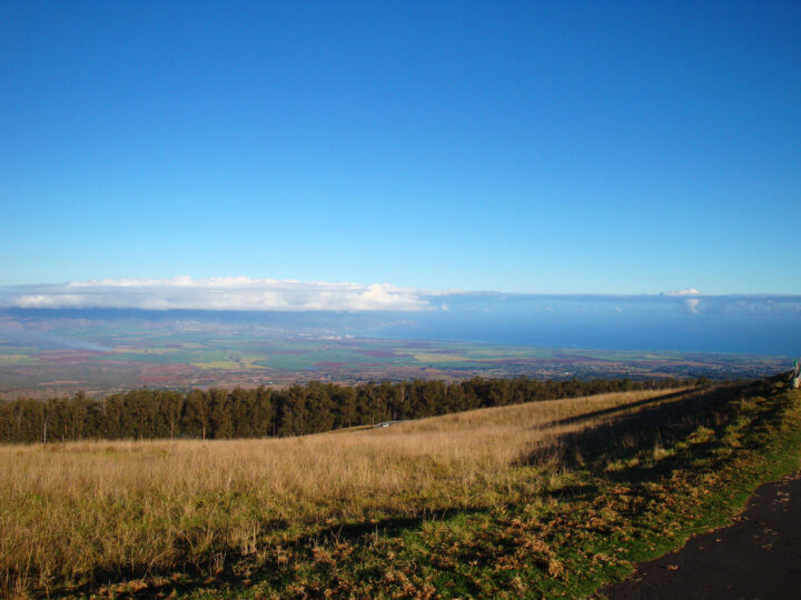 view of maui from Haleakala national park field with trees and colorful land in distance