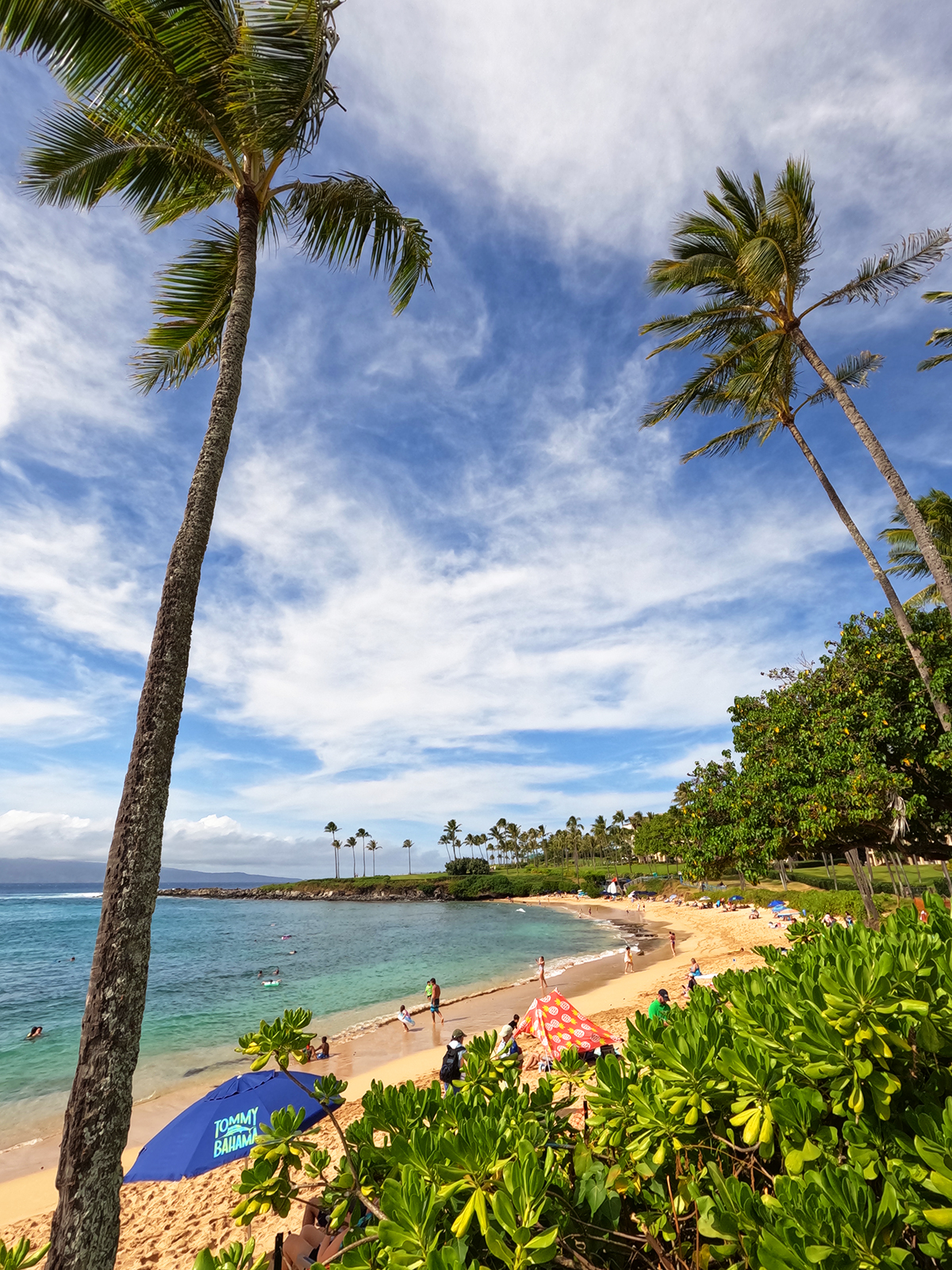 beach in maui with palm trees beach umbrellas and greenery surrounding with blue water