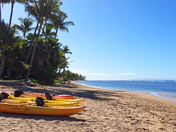 kayaks on beach with tan sand and palm trees