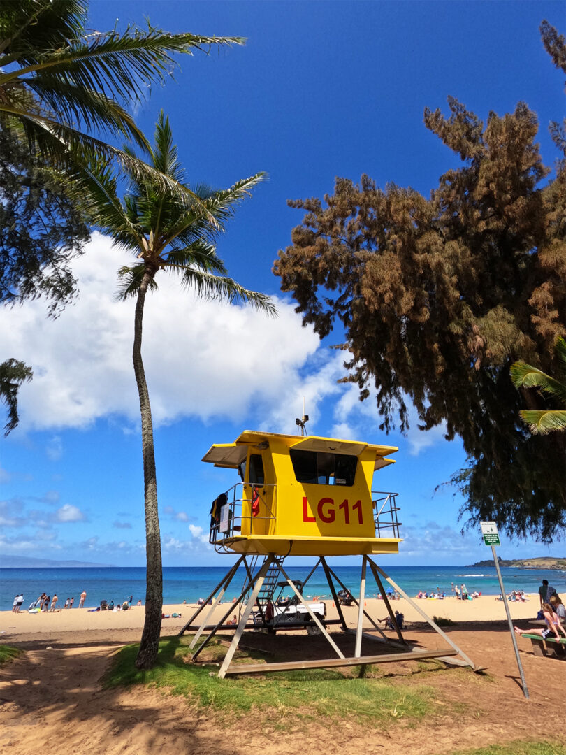 36-incredible-things-to-do-with-kids-in-maui-ideas-for-never-ending-fun