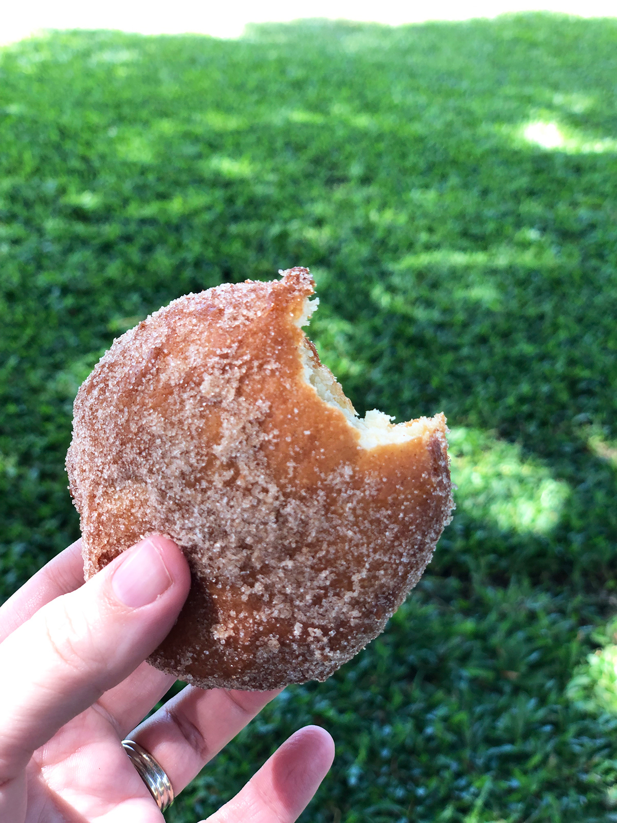malasada with one bite taken hand holding it grass in background