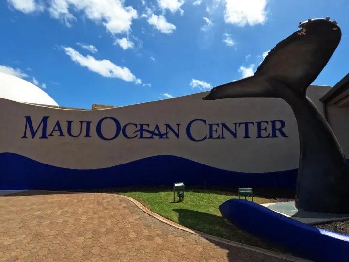 maui ocean center sign on wall with large whale tail
