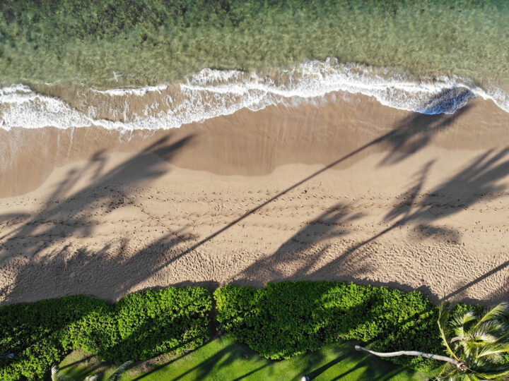 maui beach looking down with green water white wave sand and palm tree shadows