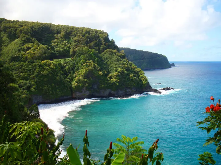 Maui vs Kauai honeymoon island coastline with cliffs teal water and flowers framing picture