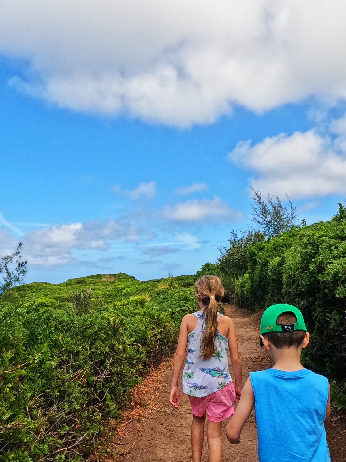 maui with kids hiking on trail girl with ponytail boy with green hat and greenery with blue sky