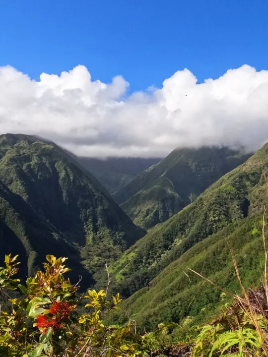 view of lush valley on sunny day hiking with kids in maui