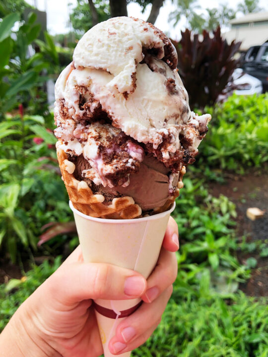 best places to eat in kauai pic of hand holding ice cream waffle cone with white and brown ice cream and plants in background