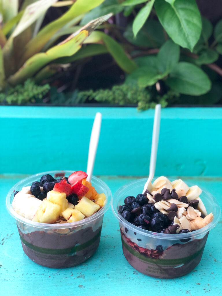 two acai bowls with fruit nuts chocolate chips on blue table with plants