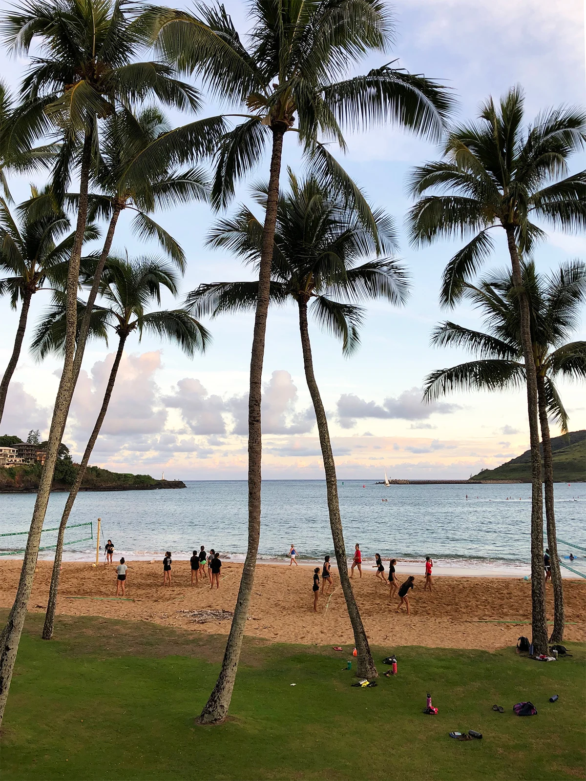 Best restaurants in kauai with a view dukes beach with palm trees at sunset