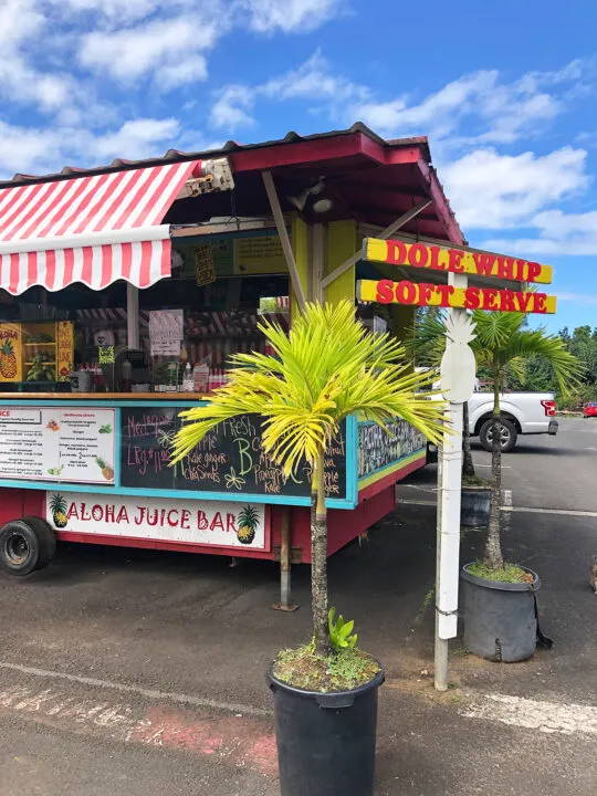 best restaurants in kauai north shore view of juice bar with signs palm tree and dole whip sign