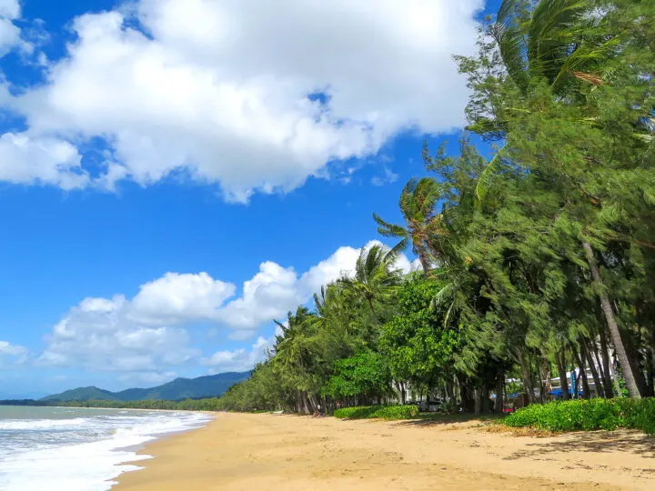 best destinations for Christmas view of beach yellow sand palm trees in cairns Australia