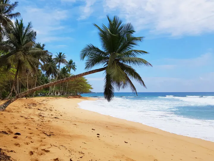 christmas best destinations view of yellow sand white wave and palm trees on island