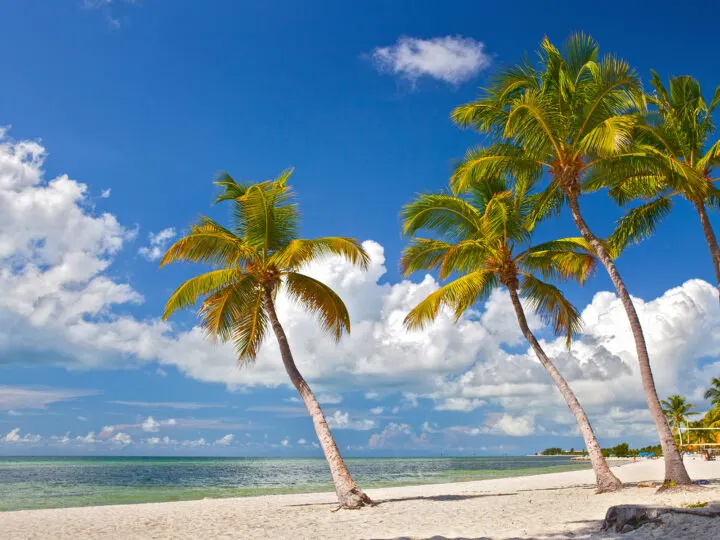 palm trees on beach with white puffy clouds in sky at key west Christmas vacation ideas