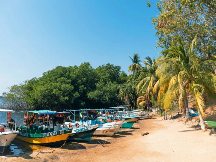 Mexico beach with boats and palm trees