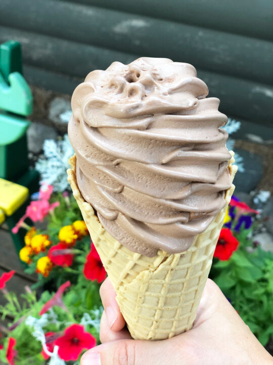 chocolate ice cream cone with flowers in background